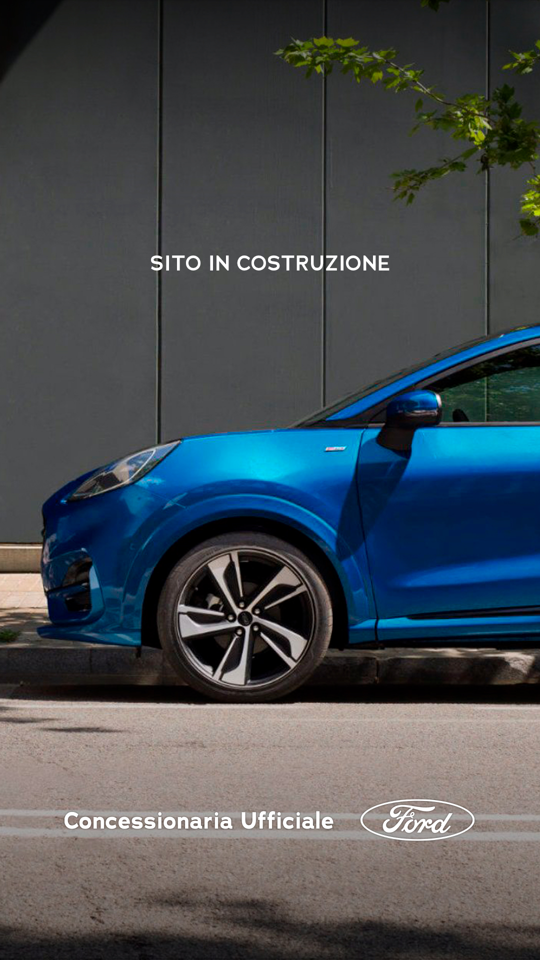 Concessionaria Ufficiale Ford